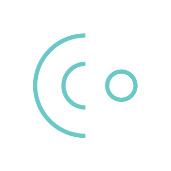 Basck icon